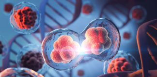 WHO a revela factornan di riesgo cu posiblemente ta causa cancer